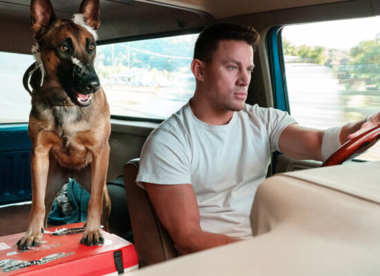 Lucia Costa 4 “Dog: Un viaje salvaje”: Más que una película de perros