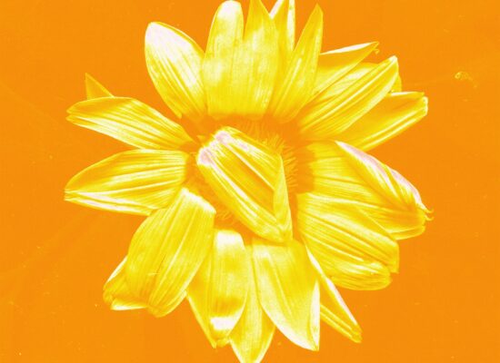 Sofia Lescano 5 Erich Larsson presenta su nuevo single “Hasta ver el Sol”