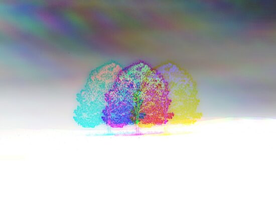 Escucha “El momento es ahora”, el nuevo EP de Sonido Primario