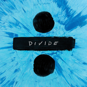 Divide cover 1