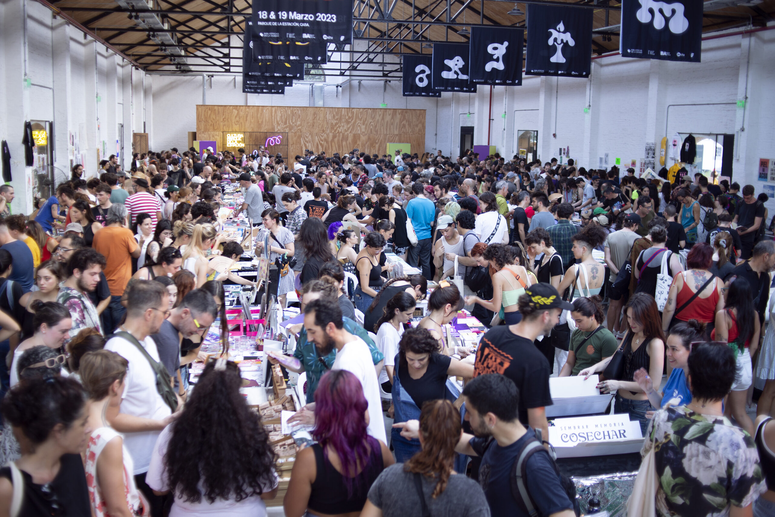 IMG 1503 copia scaled