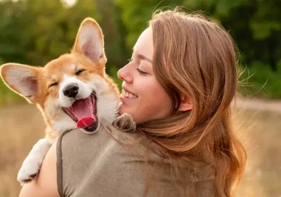 Omint Mascotas: Grupo Omint lanza una nueva unidad de negocios orientada al cuidado integral de la salud de nuestras mascotas