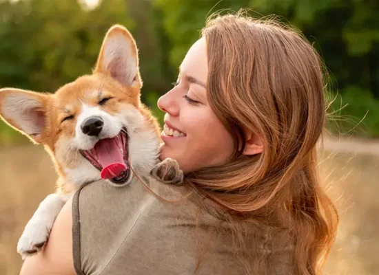 Omint Mascotas: Grupo Omint lanza una nueva unidad de negocios orientada al cuidado integral de la salud de nuestras mascotas