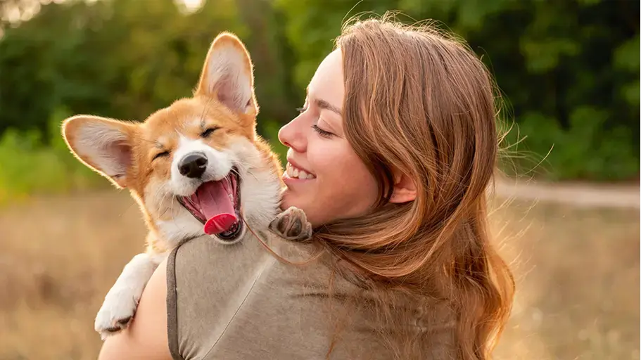 Allergies to Dogs 2025 1