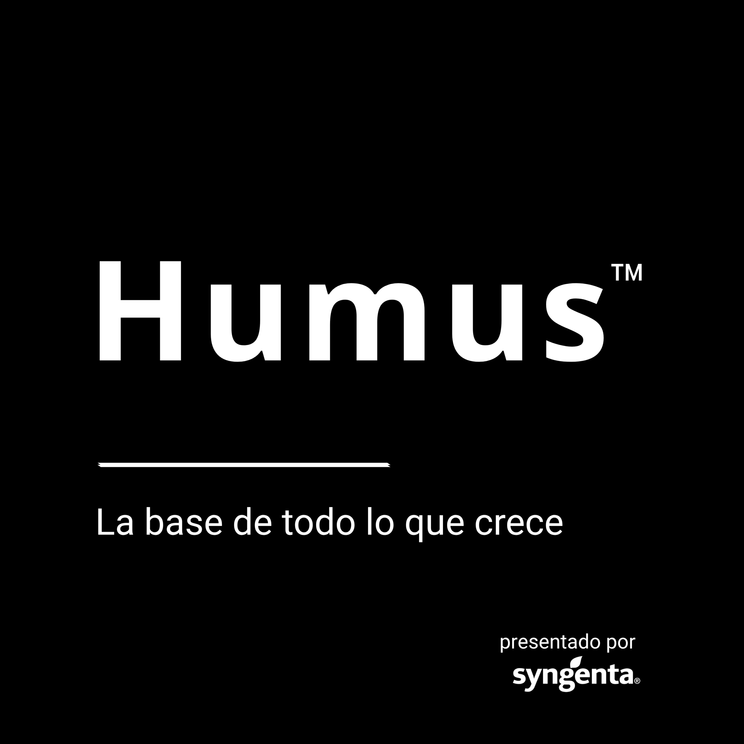 Humus La base de todo lo que crece scaled